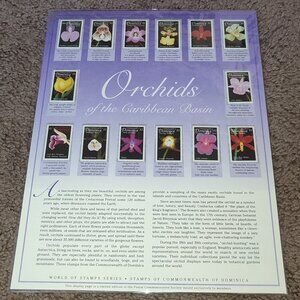 Mint Stamps Orchids Panel Display MNH Collectible Vintage Nature Flowers Art